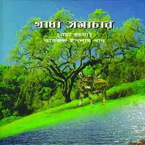 গাধা সমাচার