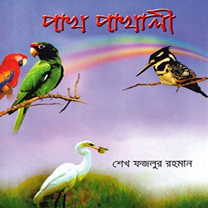 মেঘের খোপায় পালক ভরে